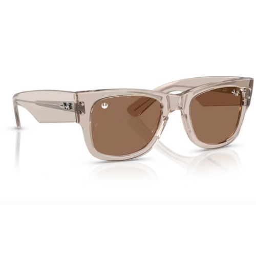 Lunettes Ray-Ban Wayfarer disponibles chez L’Habilleur de Regard à Pechbonnieu